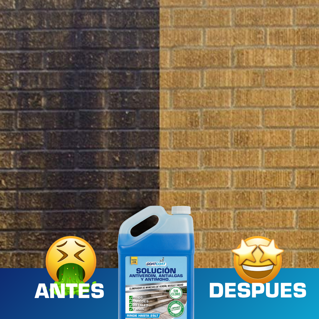 SOLUCIÓN LIQUIDA Antiverdín, Antialgas y Antimoho. | GOATCOAT™