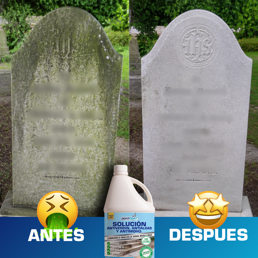 SOLUCIÓN LIQUIDA Antiverdín, Antialgas y Antimoho. | GOATCOAT™