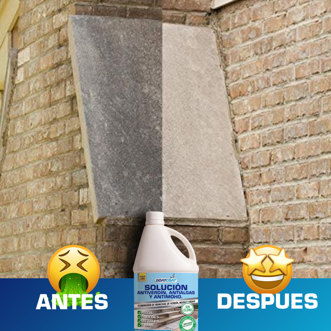 SOLUCIÓN LIQUIDA Antiverdín, Antialgas y Antimoho. | GOATCOAT™