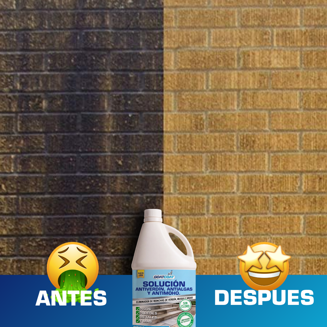 SOLUCIÓN LIQUIDA Antiverdín, Antialgas y Antimoho. | GOATCOAT™