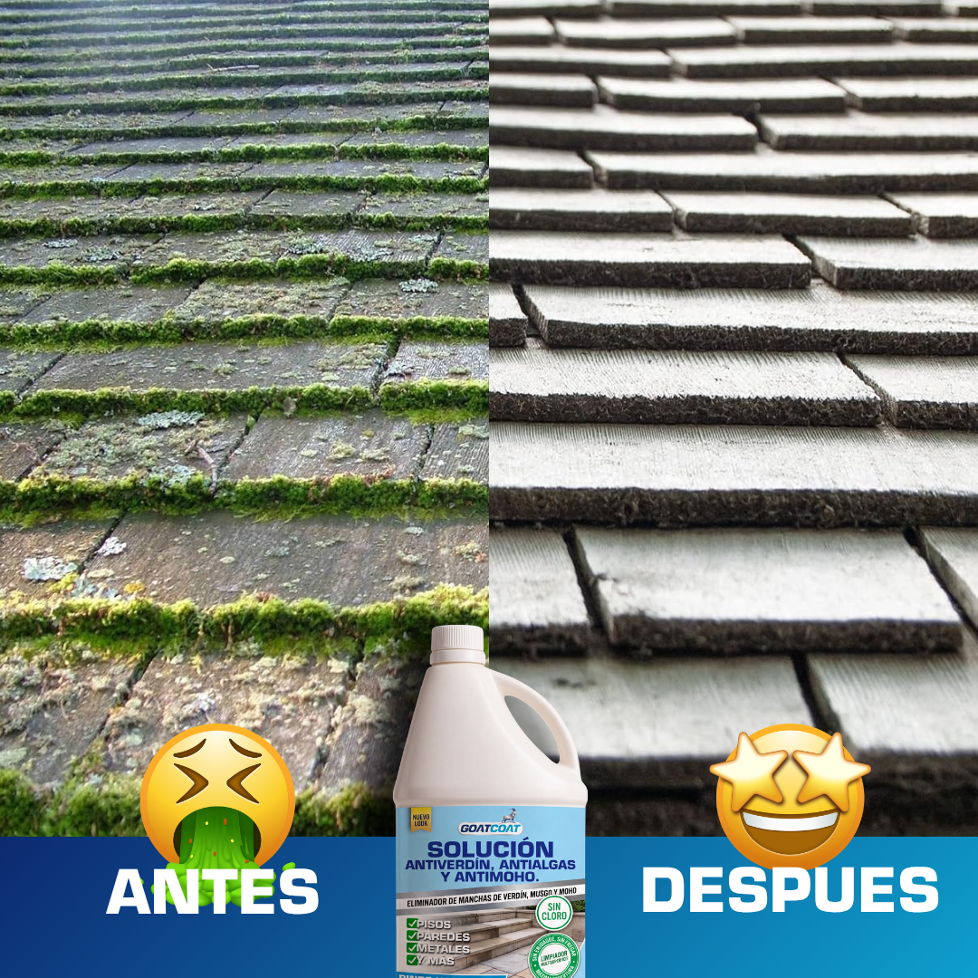 SOLUCIÓN LIQUIDA Antiverdín, Antialgas y Antimoho. | GOATCOAT™