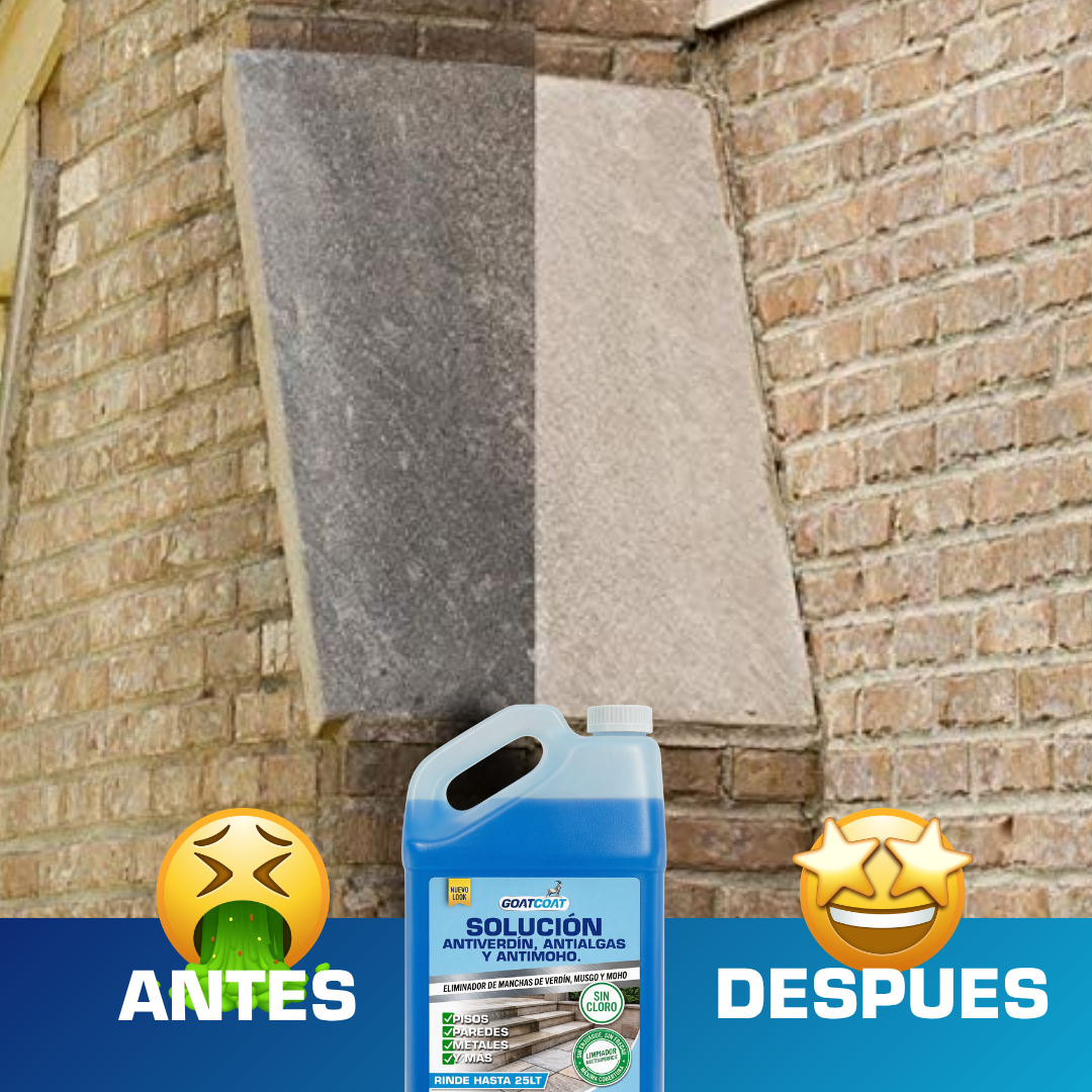 SOLUCIÓN LIQUIDA Antiverdín, Antialgas y Antimoho. | GOATCOAT™